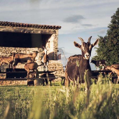 Le Domaine du Castellas Sivergues Extérieur photo